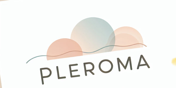 PLEROMA LLC